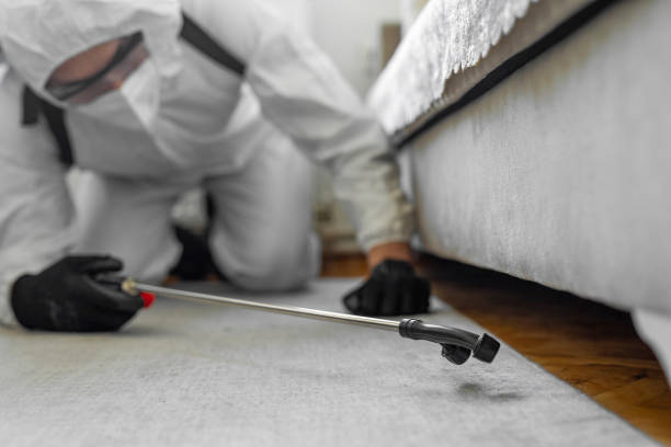Professional Termite Control technician working in Samson, AL