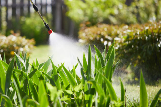 24/7 Emergency Termite Control experts in Samson, AL